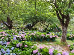 -名花谷生态庄园