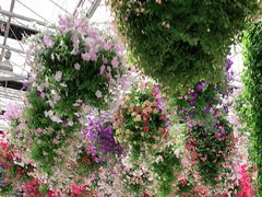 -常州花鸟园酒店(西太湖品牌优选店)