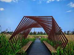 -漩门湾国家湿地公园