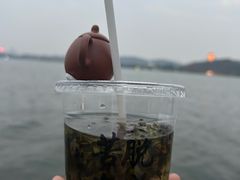 -西湖游船