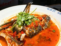 -坛宗剁椒鱼头(河西王府井店)