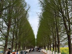 -嘉北郊野公园