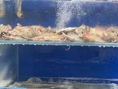 -荣祥海鲜·烟台菜(胜利路二部)