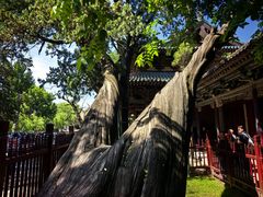 -晋祠博物馆