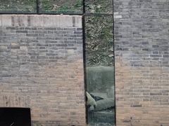 -都江堰中华大熊猫苑
