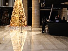 -青岛西海岸隆和福朋喜来登酒店