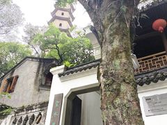 -江心屿景区