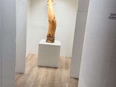 -冰岛阴茎博物馆