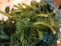 -二荆条·蜀鲜汇城市森林火锅