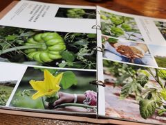 -云海肴汽锅鸡·云南小炒(天津国金汇店)