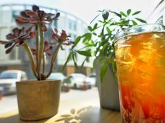 -隹木咖啡馆(宝龙广场店)