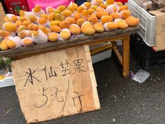 -红星农博物流中心