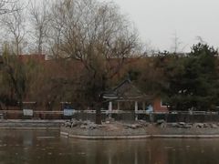 -黄村公园