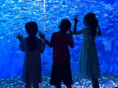 -成都浩海立方海洋公园