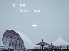 -碧海金沙