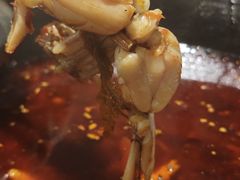 -鸿顺老铁锅美蛙鱼府(解放碑店)