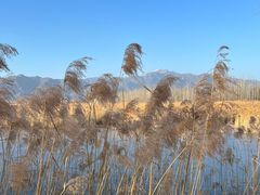 -野鸭湖国家湿地公园