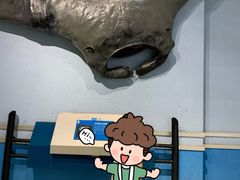 -大连自然博物馆