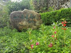 -广州神农草堂中医药博物馆