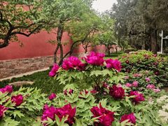 -北京市劳动人民文化宫(太庙)