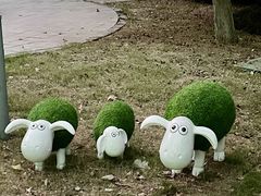 -金鸡湖桃花岛