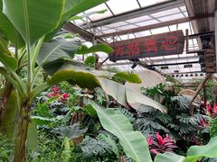 -呀路古热带植物园