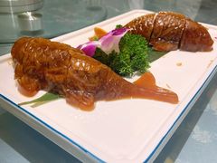 驴皮冻-高玛纳驴肉火烧(河间总店)