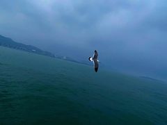 -星海湾跨海大桥