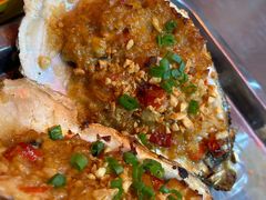 烤生蚝-壹加壹电烤串(总店)