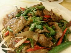 -胖大姐黄辣丁鱼庄(新津店)