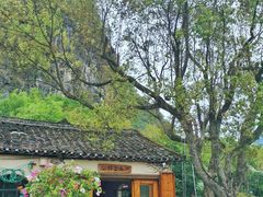 -村上春树