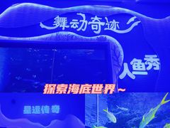 -海合安成都极地海洋公园