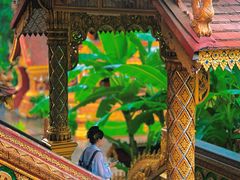 -西双版纳总佛寺