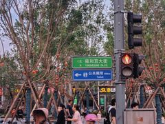 -玫瑰红烤羊排(北新桥三条店)