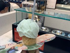 -野人先生现做冰淇淋(西安赛格店)
