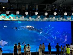 -烟台海昌鲸鲨海洋公园