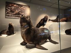 -深海中餐厅(国家海洋博物馆店)