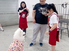 -星多哈·狗咖·拼豆·咖啡