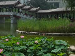 -西海子公园