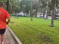-深圳龙潭公园