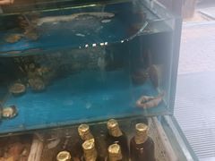 -潮庭·大连海鲜·炭火烧烤·扇贝王(大连店)