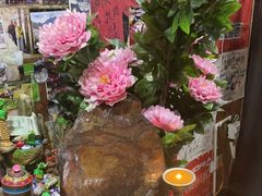 -燃木齐藏餐厅(八宿店)