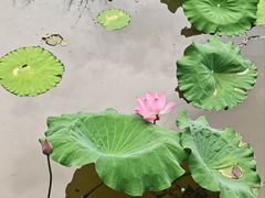 -天怡·鱼工厂(梅溪湖店)