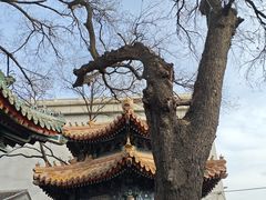 -贤良祠