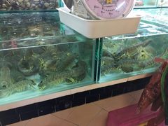 -班赞海鲜市场