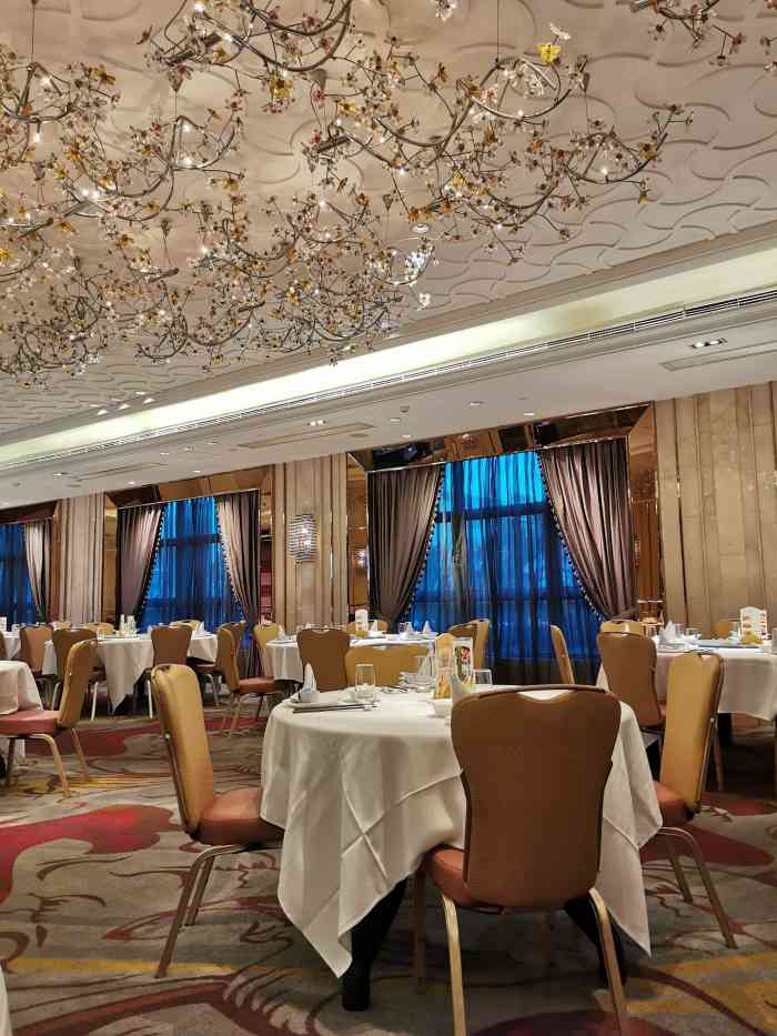 曾经在深圳和珠海的金悦轩用过餐砂窝花胶响螺汤的鲜美令人没齿难忘