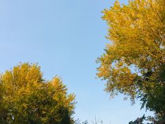 -辽宁大学(崇山校区)