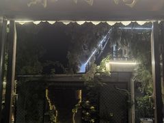 -蘇河湾·新鲁菜·泰山宴(泰山店)