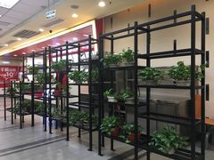 -乡村基(南坪上海城店)