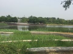 -永定河休闲森林公园